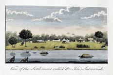 View of the Estate Alkmaar, on the River Commewine, 1813-John Gabriel Stedman-Giclee Print