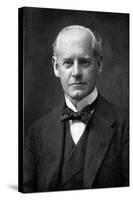 John Galsworthy-null-Stretched Canvas