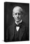 John Galsworthy-null-Framed Stretched Canvas