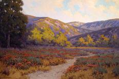 Evening Santa Barbara-John Gamble-Stretched Canvas