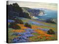 Stretched Canvas