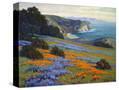Stretched Canvas