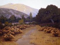 Landscape with Lupines-John Gamble-Mounted Art Print
