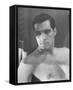 John Gavin-null-Framed Stretched Canvas