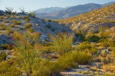 Mile 52 Colorado River-John Gavrilis-Photographic Print