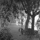 Regent's Park, London. Pigeons on a Snowy Path with People Walking Away Through an Avenue of Trees-John Gay-Photographic Print