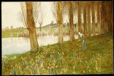 The Amber Vale, a Host of Golden Daffodils-John George Sowerby-Stretched Canvas