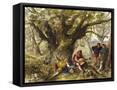 Framed Canvas