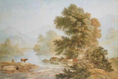 Cattle Watering at a River