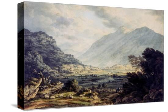 Stretched Canvas Print, , large