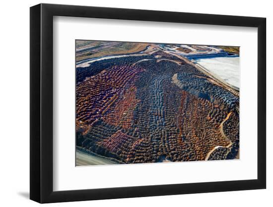 Photo, , large