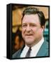 John Goodman-null-Framed Stretched Canvas