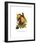 Black Frame
