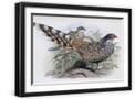 Black Frame