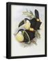Essential Black