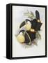 Canvas Black