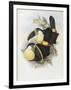Gramercy Black