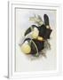 Gramercy White