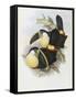 Canvas Black