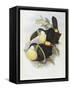 Canvas Black