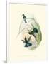 Gramercy White