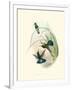 Gramercy White