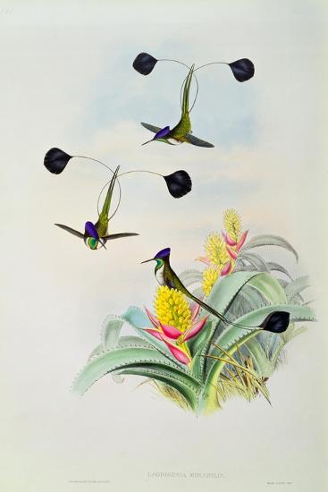 Premium Giclee Print, , large