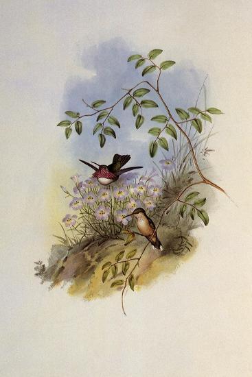 Giclee Print, , large