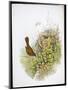 Wood Mount