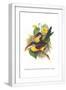 White Frame