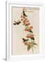 Gramercy White
