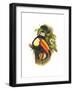 Black Frame