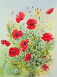 Poppies and Mayweed-John Gubbins-Framed Giclee Print