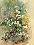 Summer Flowers-John Gubbins-Laminated Giclee Print