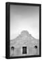 Essential Black