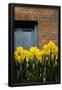 Essential Black