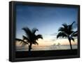 Essential Black