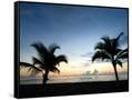 Canvas Black