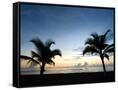 Canvas Black
