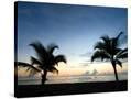 Stretched Canvas