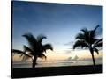 Stretched Canvas
