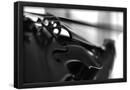 Essential Black