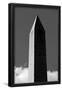 Essential Black