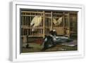 White Frame