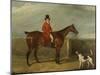 John Hall Kent in Hunting Attire Seated on a Horse, 1825-David Dalby-Mounted Giclee Print