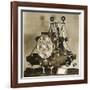 John Harrison's First Marine Chronometer-null-Framed Photographic Print