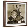 Brown Frame