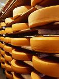 Cheese at Heidi Farm,Tasmania, Australia-John Hay-Mounted Photographic Print