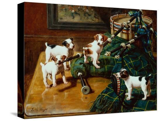 Stretched Canvas Print, , large