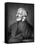 John Henry Newman, British Cardinal, Late 19th Century-null-Framed Stretched Canvas